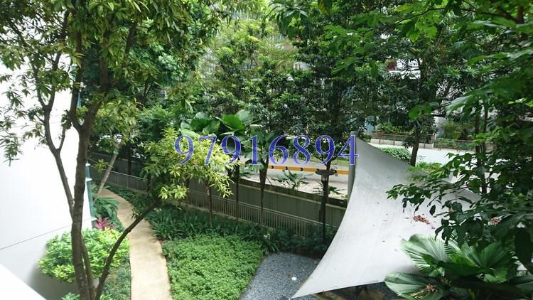 The Nexus (D21), Condominium #169031392